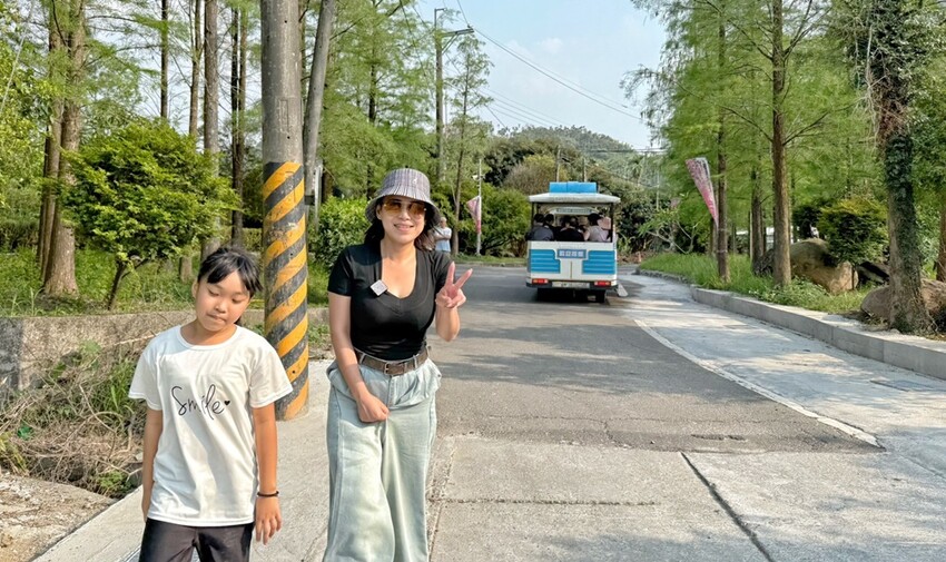 嘉義縣竹崎鄉嘉義景點/竹崎阿拉伯的粉紅村，季節限定的花旗木及金針花海！