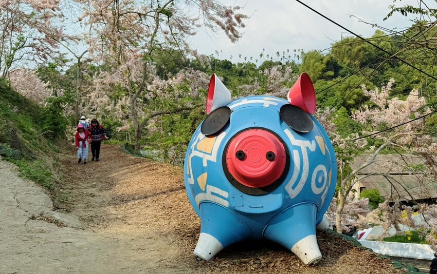 嘉義縣竹崎鄉嘉義景點/竹崎阿拉伯的粉紅村，季節限定的花旗木及金針花海！