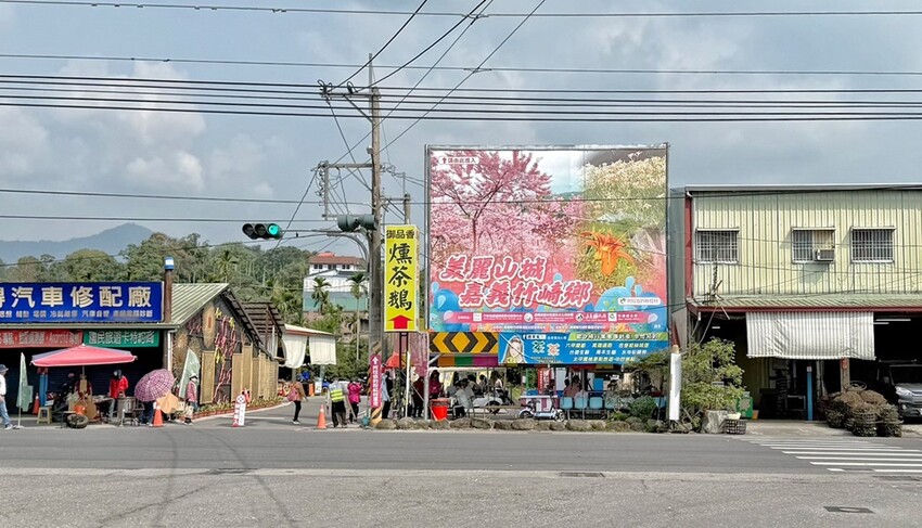 嘉義縣竹崎鄉嘉義景點/竹崎阿拉伯的粉紅村，季節限定的花旗木及金針花海！