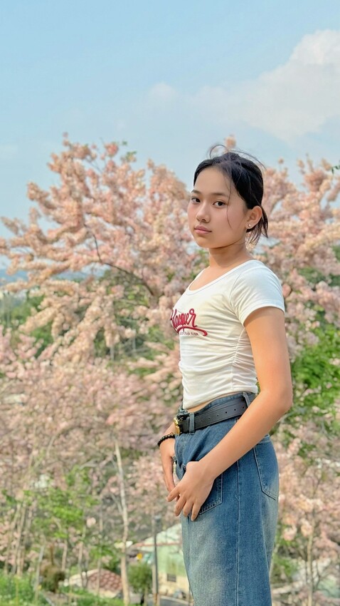 嘉義縣竹崎鄉嘉義景點/竹崎阿拉伯的粉紅村，季節限定的花旗木及金針花海！