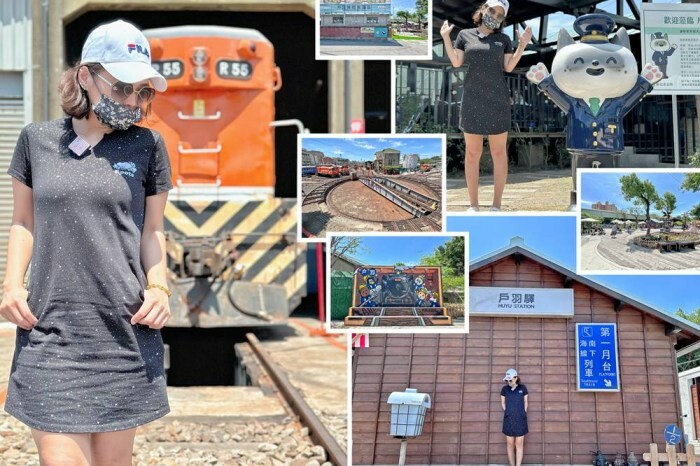 嘉義縣竹崎鄉嘉義景點/竹崎阿拉伯的粉紅村，季節限定的花旗木及金針花海！