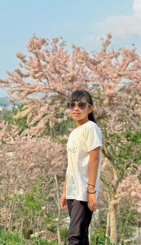 嘉義縣竹崎鄉嘉義景點/竹崎阿拉伯的粉紅村，季節限定的花旗木及金針花海！