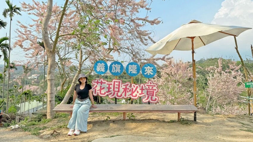 嘉義縣竹崎鄉嘉義景點/竹崎阿拉伯的粉紅村，季節限定的花旗木及金針花海！