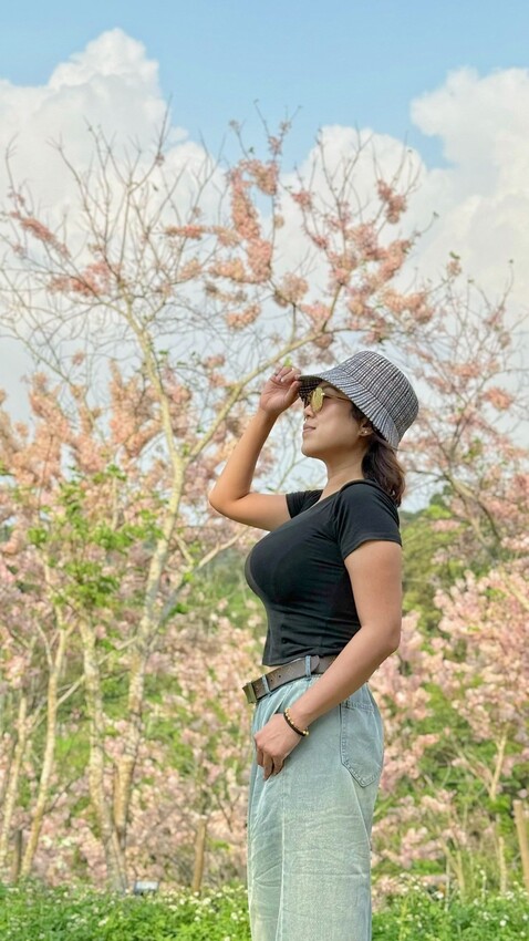 嘉義縣竹崎鄉嘉義景點/竹崎阿拉伯的粉紅村，季節限定的花旗木及金針花海！