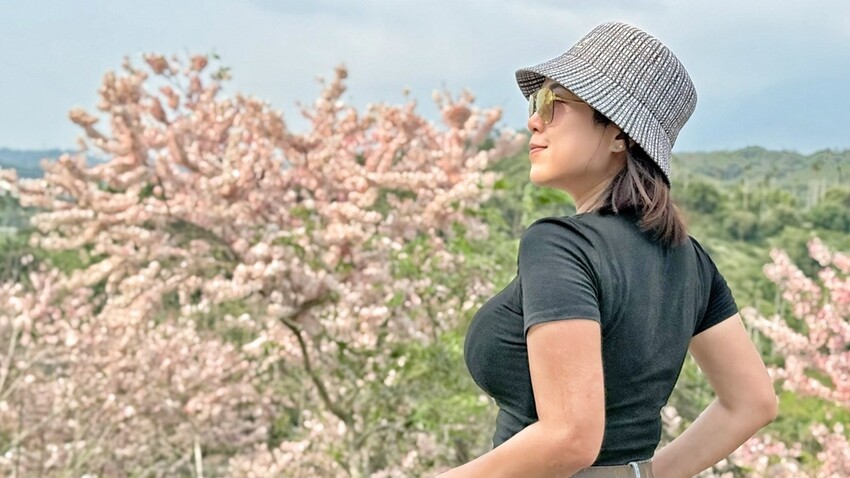 嘉義縣竹崎鄉嘉義景點/竹崎阿拉伯的粉紅村，季節限定的花旗木及金針花海！