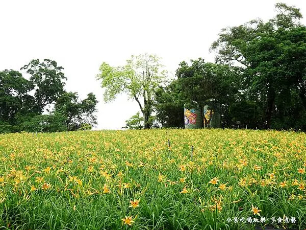 大溪-百吉休閒農業體驗園區遊客中心 (28).jpg