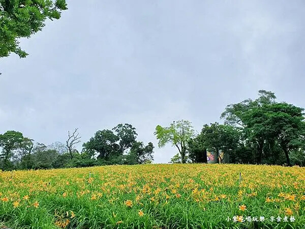 大溪-百吉休閒農業體驗園區遊客中心 (3).jpg