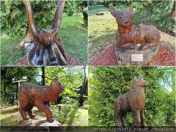 布拉索夫老城區黑教堂與議會廣場Brasov old town