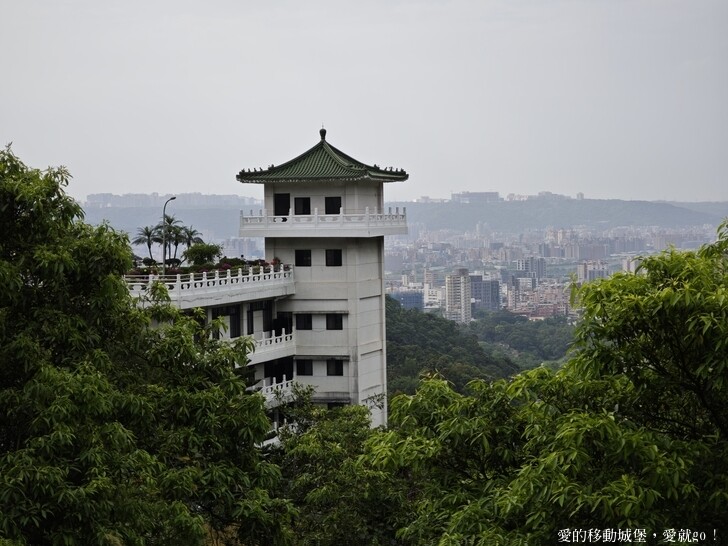 新北市土城區【2025新北油桐花】五月雪的浪漫季節 土城賞螢、賞魚、賞桐 漫步桐花步道 愛就跟我一起快樂GO !