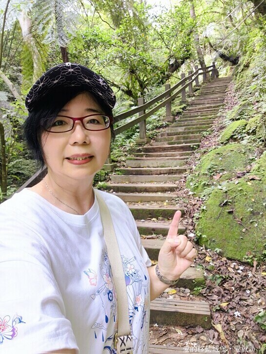 新北市土城區【2025新北油桐花】五月雪的浪漫季節 土城賞螢、賞魚、賞桐 漫步桐花步道 愛就跟我一起快樂GO !