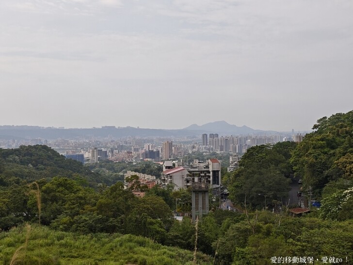 新北市土城區【2025新北油桐花】五月雪的浪漫季節 土城賞螢、賞魚、賞桐 漫步桐花步道 愛就跟我一起快樂GO !