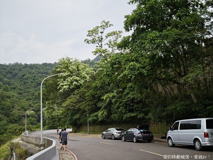 新北市土城區【2025新北油桐花】五月雪的浪漫季節 土城賞螢、賞魚、賞桐 漫步桐花步道 愛就跟我一起快樂GO !