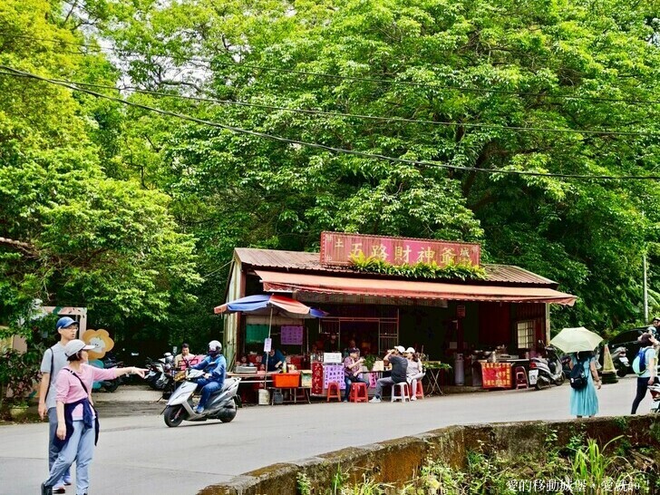 新北市土城區【2025新北油桐花】五月雪的浪漫季節 土城賞螢、賞魚、賞桐 漫步桐花步道 愛就跟我一起快樂GO !