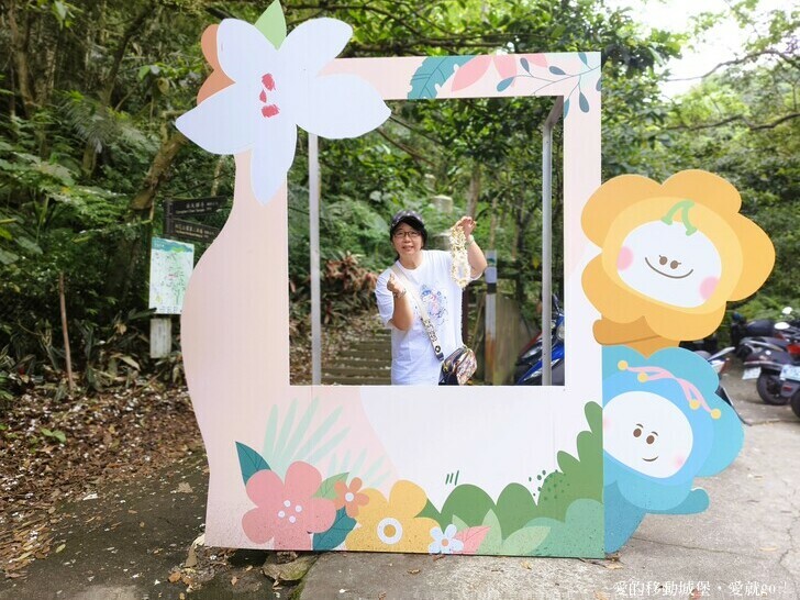 新北市土城區【2025新北油桐花】五月雪的浪漫季節 土城賞螢、賞魚、賞桐 漫步桐花步道 愛就跟我一起快樂GO !