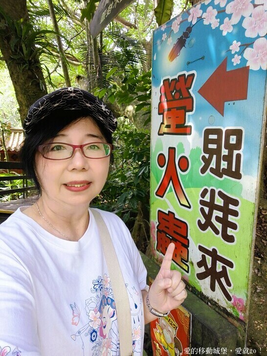 新北市土城區【2025新北油桐花】五月雪的浪漫季節 土城賞螢、賞魚、賞桐 漫步桐花步道 愛就跟我一起快樂GO !