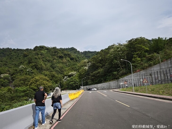 新北市土城區【2025新北油桐花】五月雪的浪漫季節 土城賞螢、賞魚、賞桐 漫步桐花步道 愛就跟我一起快樂GO !