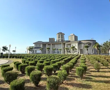 高雄旗津半日遊：推薦必去景點以及好吃的鴨角活海產海鮮料理。旗津的夕陽無限好