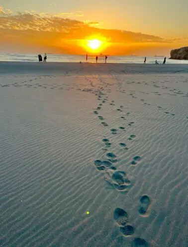 高雄旗津半日遊：推薦必去景點以及好吃的鴨角活海產海鮮料理。旗津的夕陽無限好