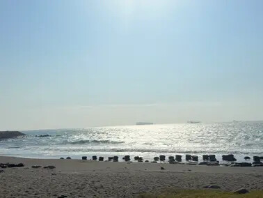 高雄旗津半日遊：推薦必去景點以及好吃的鴨角活海產海鮮料理。旗津的夕陽無限好