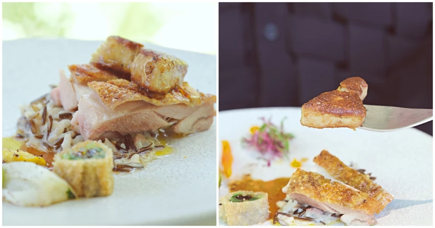 台中西區｜玻璃老宅法式餐廳《LAFETE 法月》春季限定菜單開箱