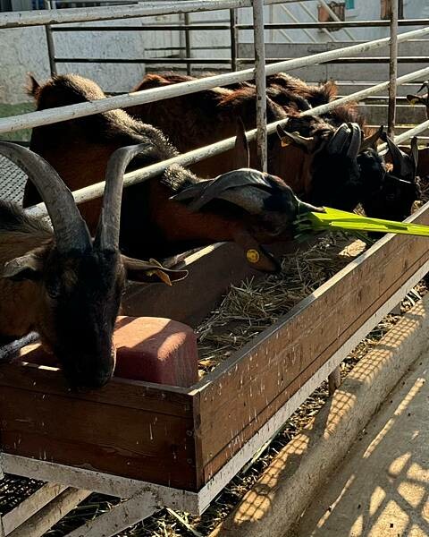 LINE_ALBUM_神探_250320_40