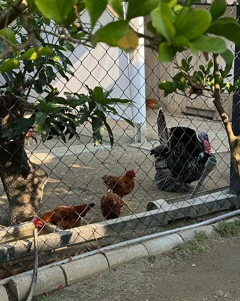 LINE_ALBUM_神探_250320_30