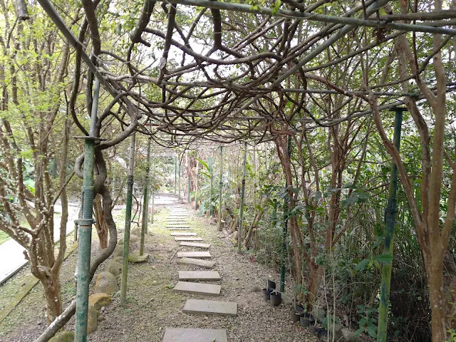 關西仙草博物館