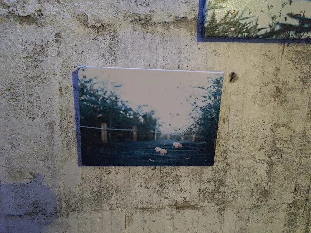 四八高地戰備坑道