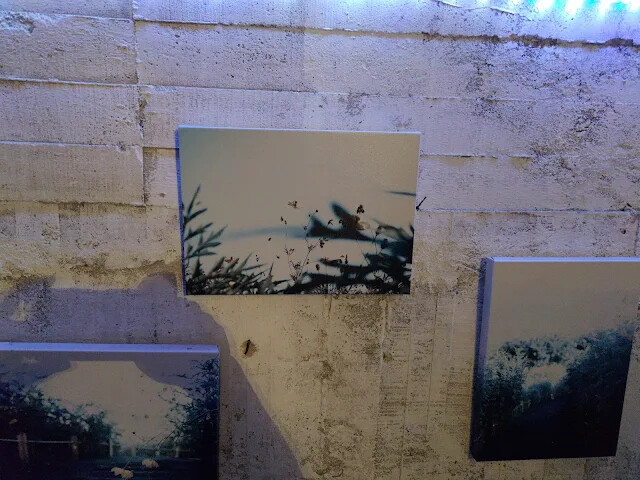 四八高地戰備坑道