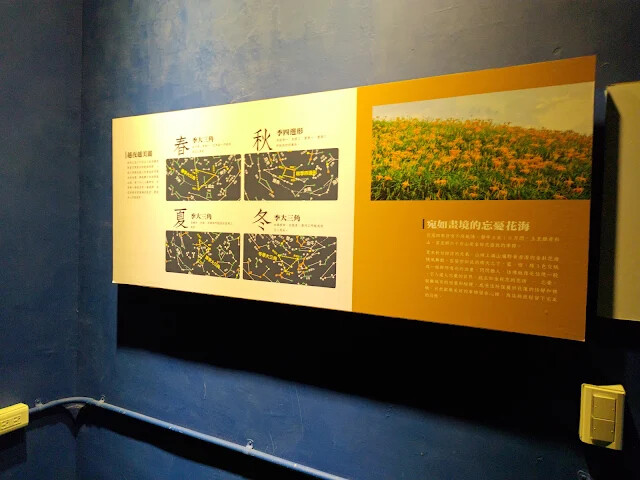 四八高地 - 花蓮農好基地 - 星光