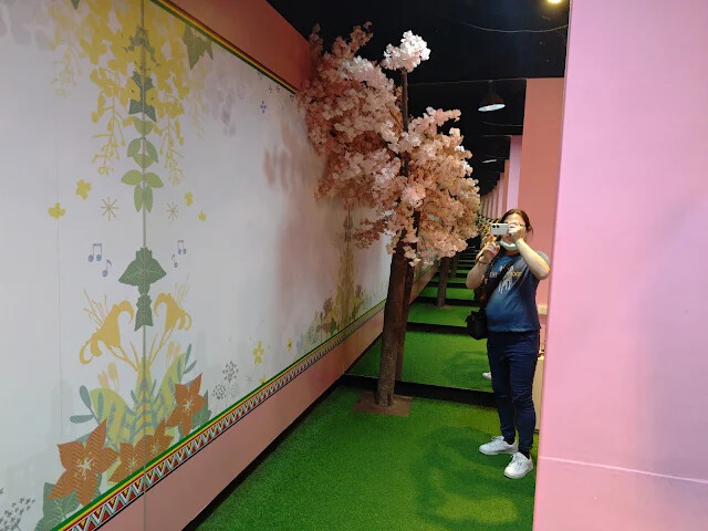 四八高地 - 花蓮農好基地 - 花園城市 - 櫻花