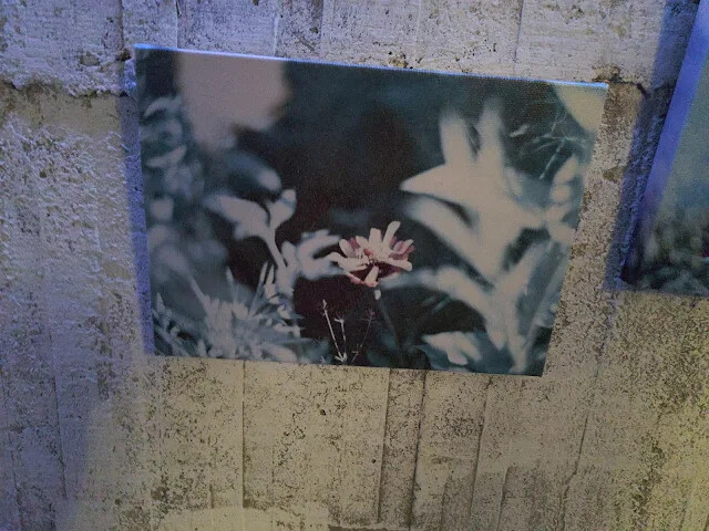 四八高地戰備坑道