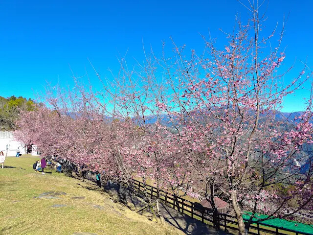 清境農場 (青青草原)