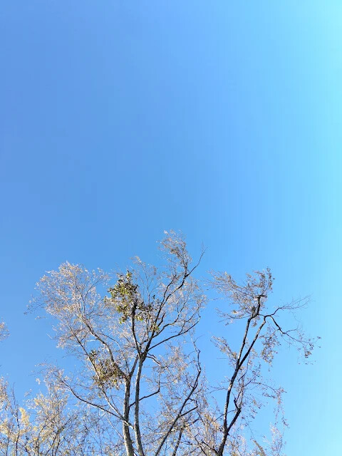 清境農場 (高空觀景步道)