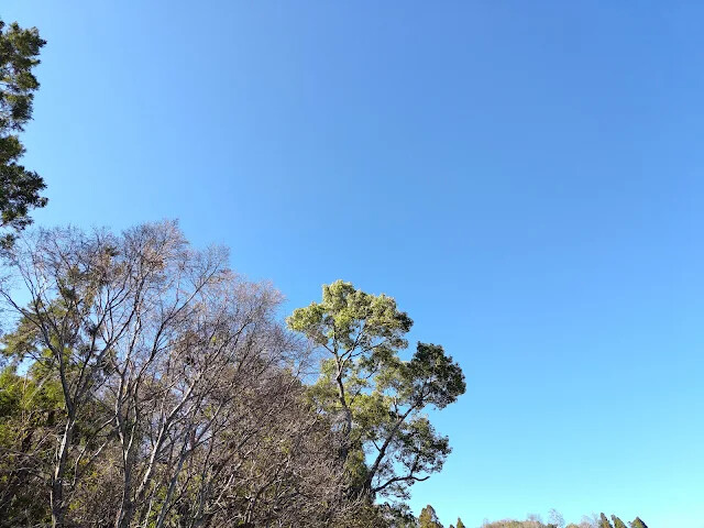 清境農場 (高空觀景步道)