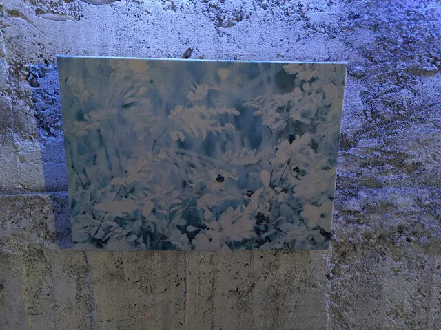 四八高地戰備坑道