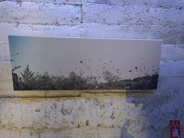 四八高地戰備坑道