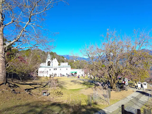 清境農場 (青青草原)