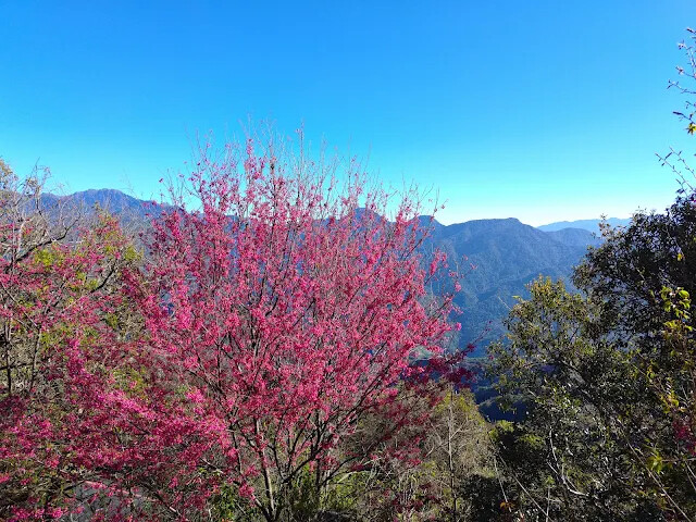 清境農場 (高空觀景步道)