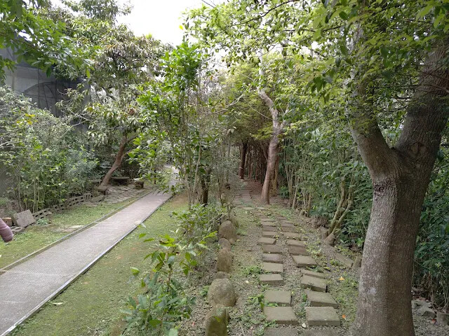 關西仙草博物館