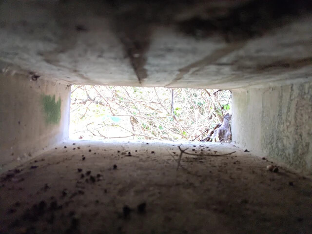 四八高地戰備坑道 - 觀測所