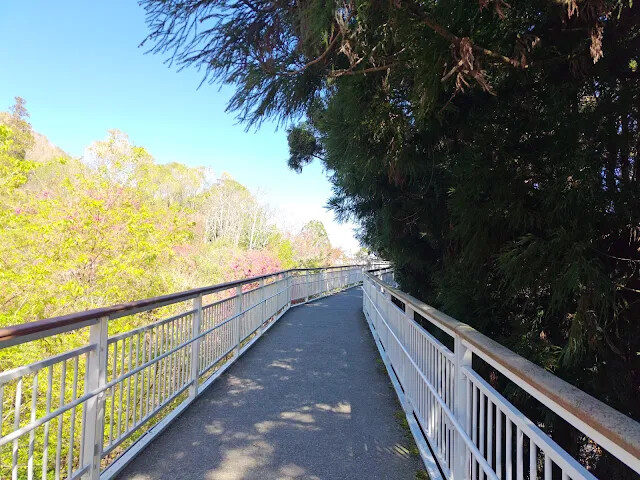 清境農場 (高空觀景步道)