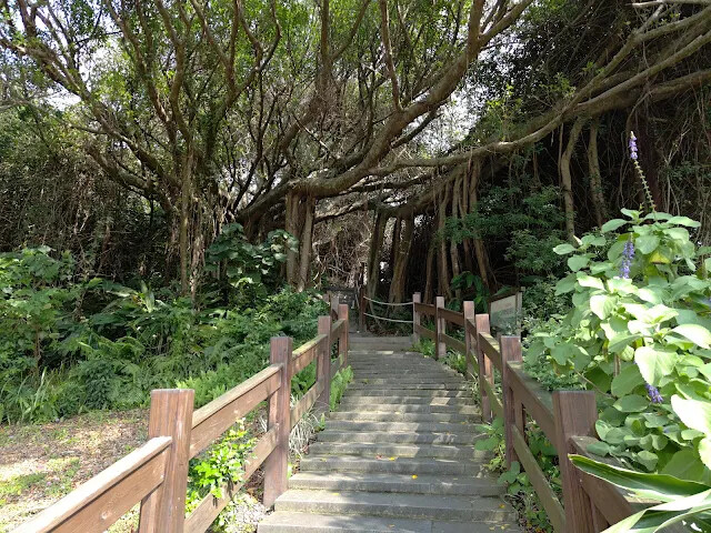 四八高地戰備坑道