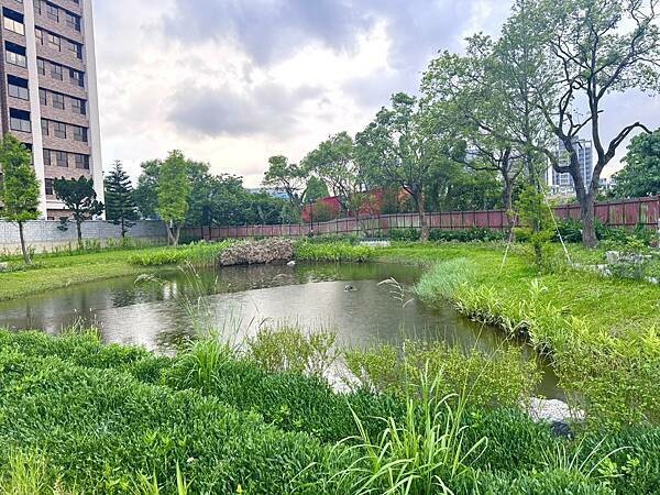 【親子遊記】走進燦爛童年時光 八德楓樹腳公園全攻略 一場大人