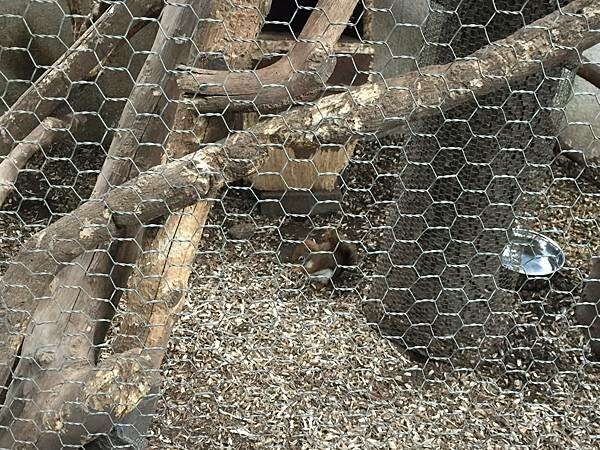 LINE_ALBUM_由布院_220326_174