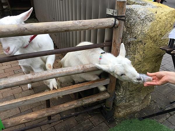 LINE_ALBUM_由布院_220326_171