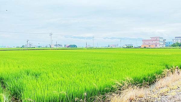 宜蘭民宿包棟│宜蘭海邊民宿-寵物友善，日式造景、和服體驗、巨