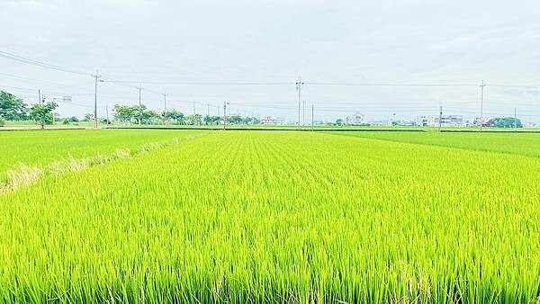 宜蘭民宿包棟│宜蘭海邊民宿-寵物友善，日式造景、和服體驗、巨