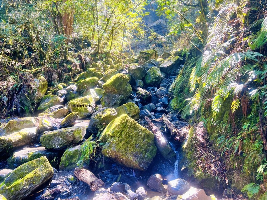 /tmp/php3RtGws /tmp/php3RtGws