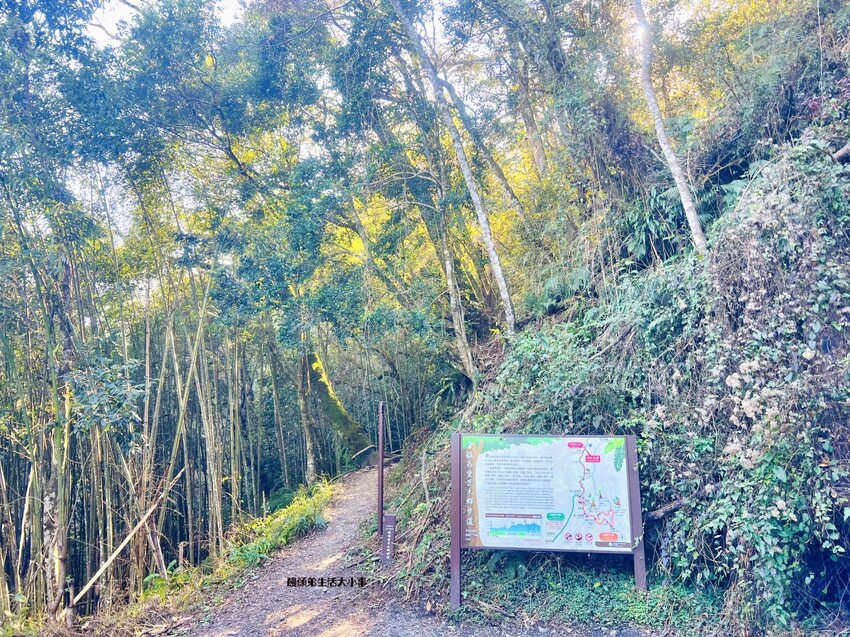 /tmp/phpqqAEYt /tmp/phpqqAEYt